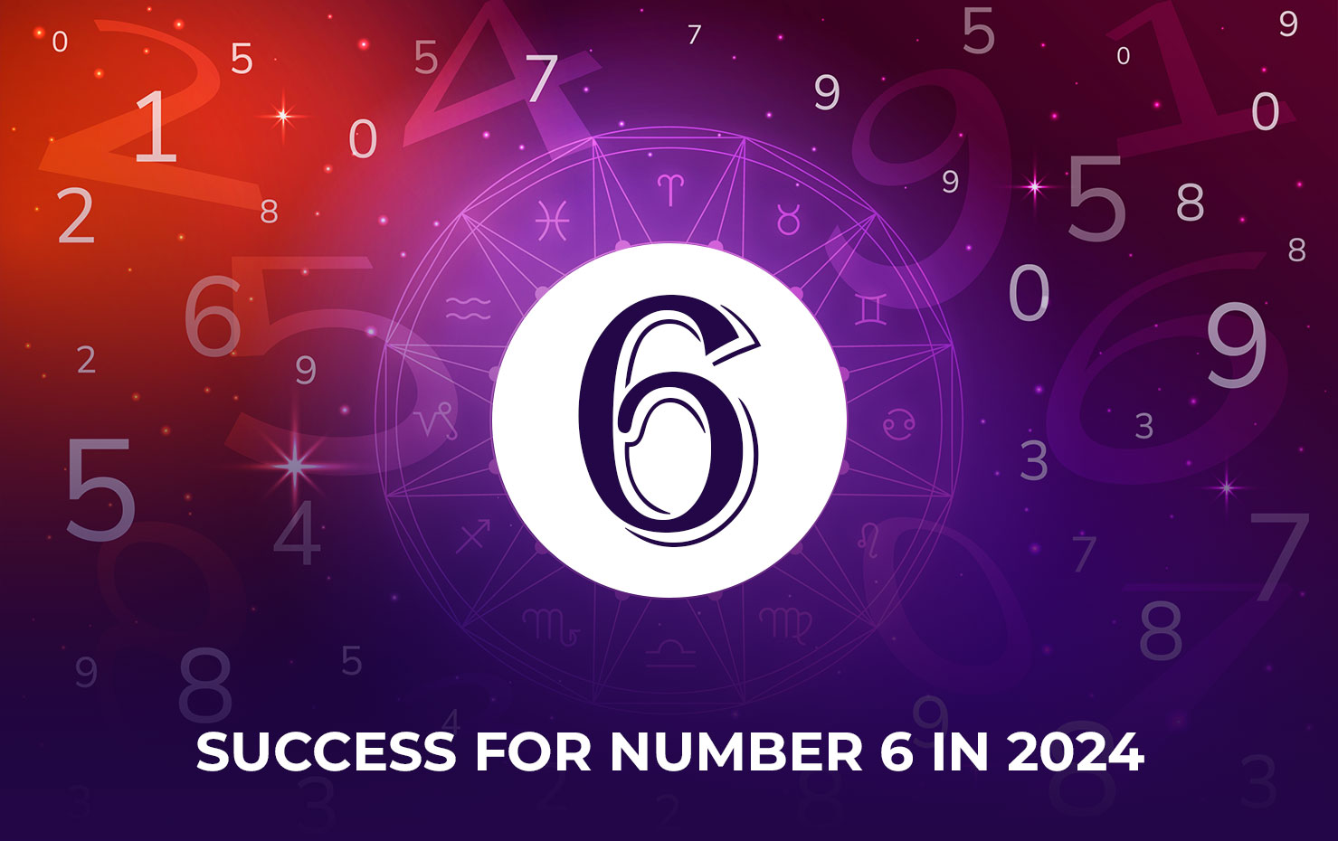 Success for Number 6 in 2024